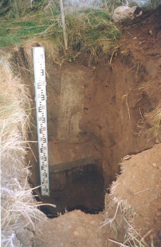 The geodetic mark revealed. Point excavation (from Internet) / Геодезическая метка обнаружена. Раскопки пункта (из Интернета)