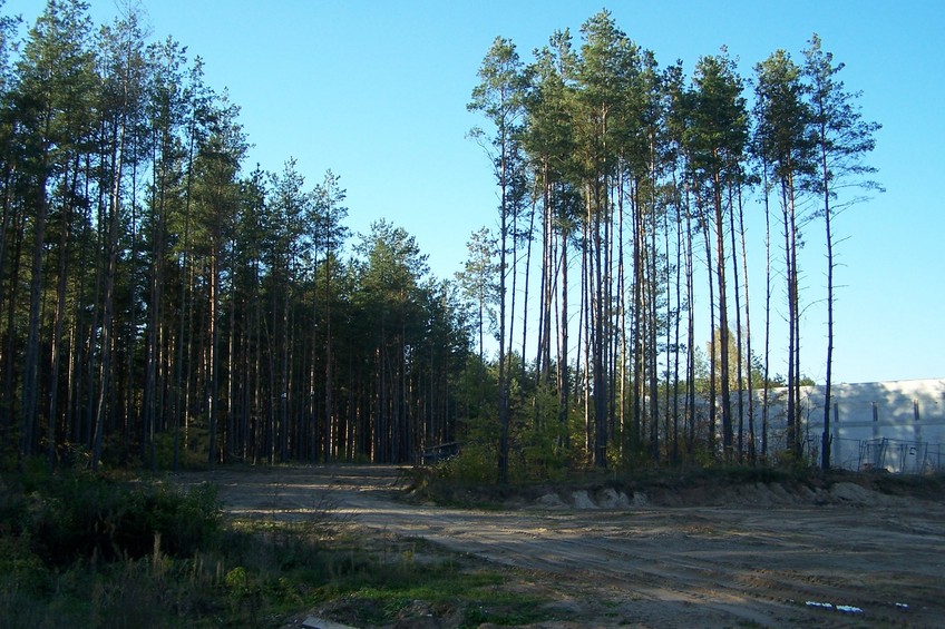 View towards NW from the confluence