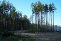 #5: View towards NW from the confluence