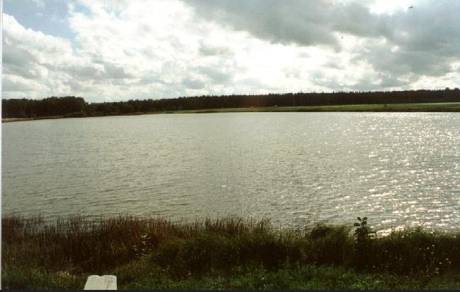 Towards south, the pond.