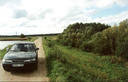 #4: Towards west, behind my car, highway 137.