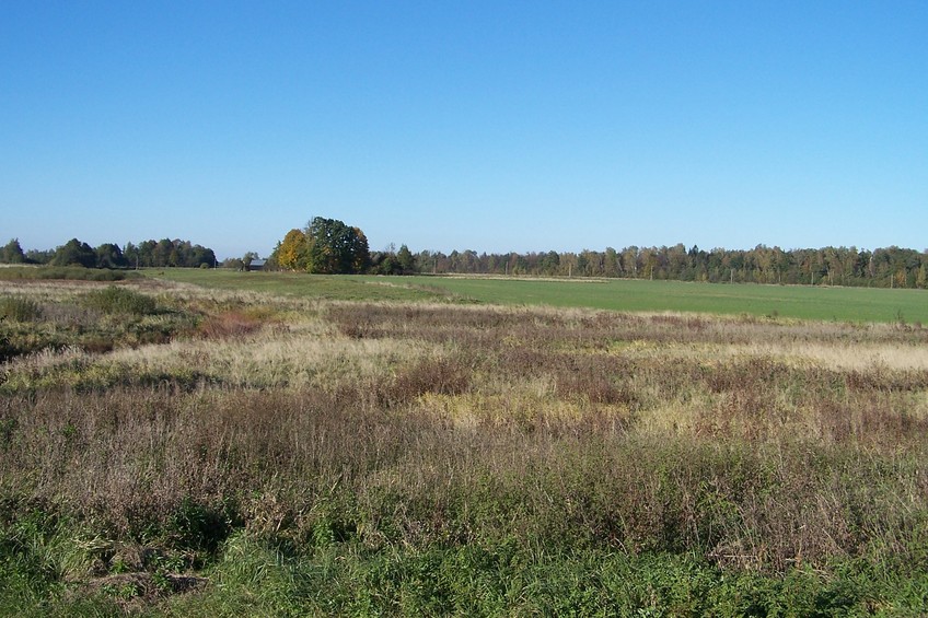 View towards E ca. 100 m away from the confluence