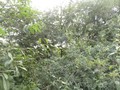 #3: Süd - South