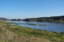 #8: The Neris (Wilia) River near the confluence point