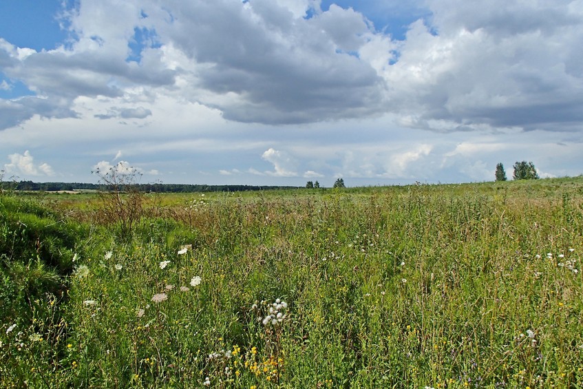 View to the north / Вид на север