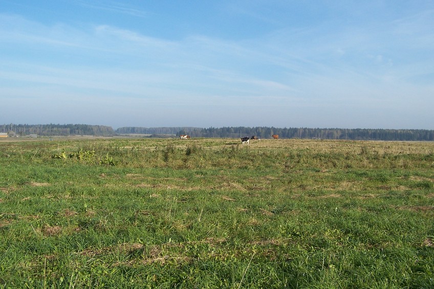 General view of the confluence (towards N)