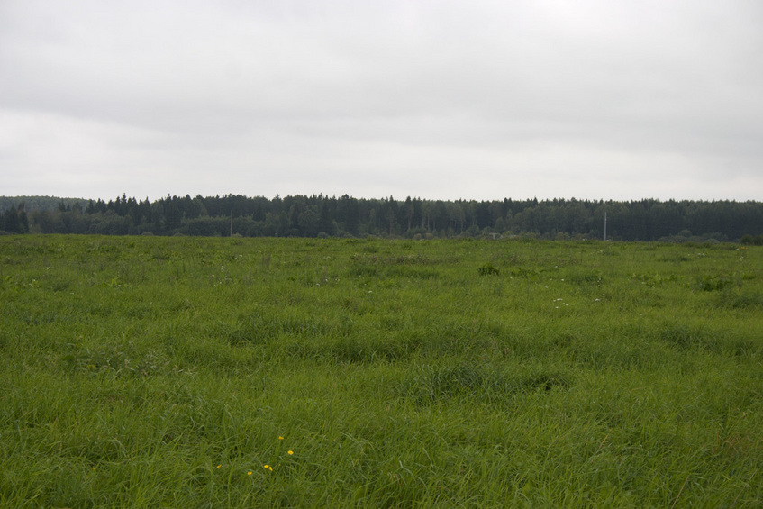 View North from CP