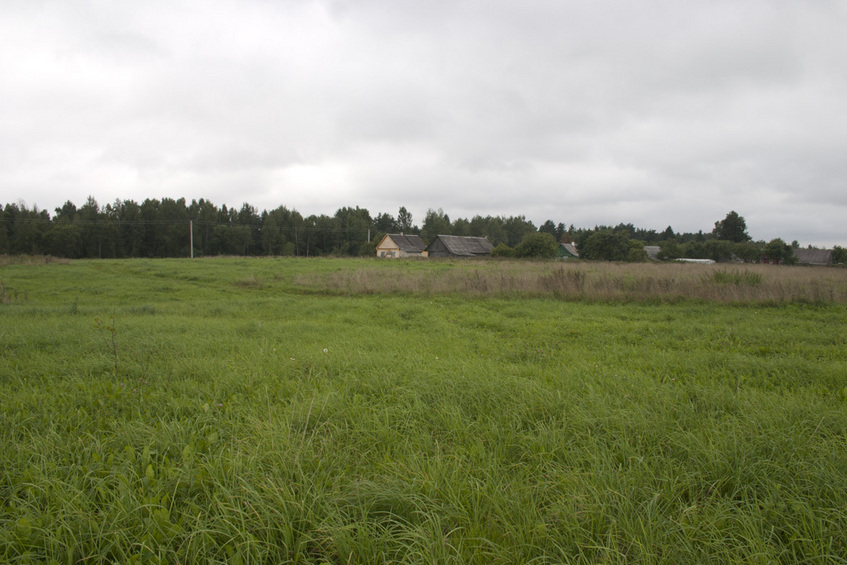 View South from CP