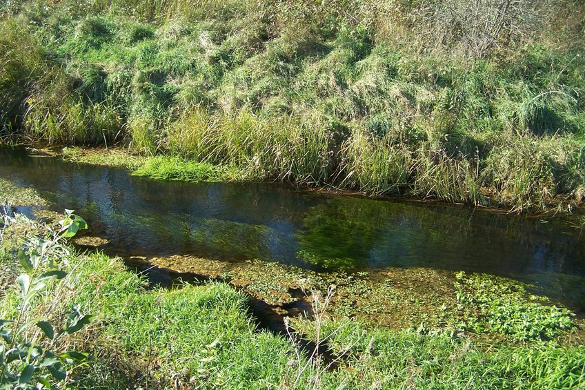 The Santaka river near the confluence