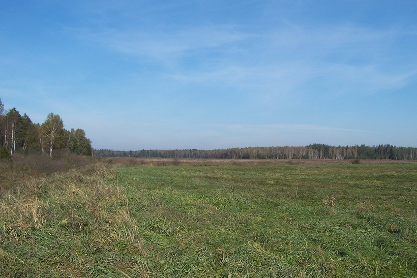 View towards NE from the confluence