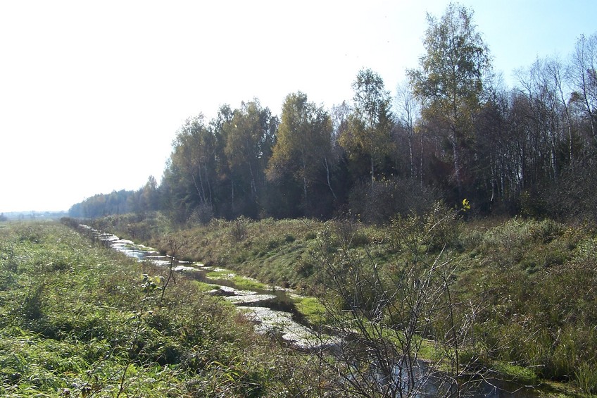 View towards SW from the confluence