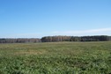 #5: View towards E from the confluence