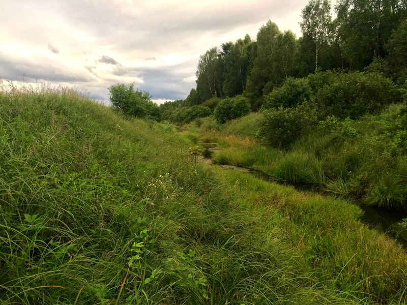 View South (along the creek)