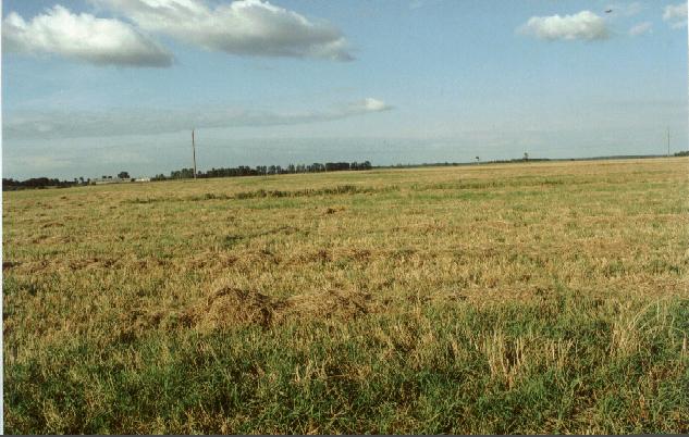 The confluence and Gergzdeliai behind