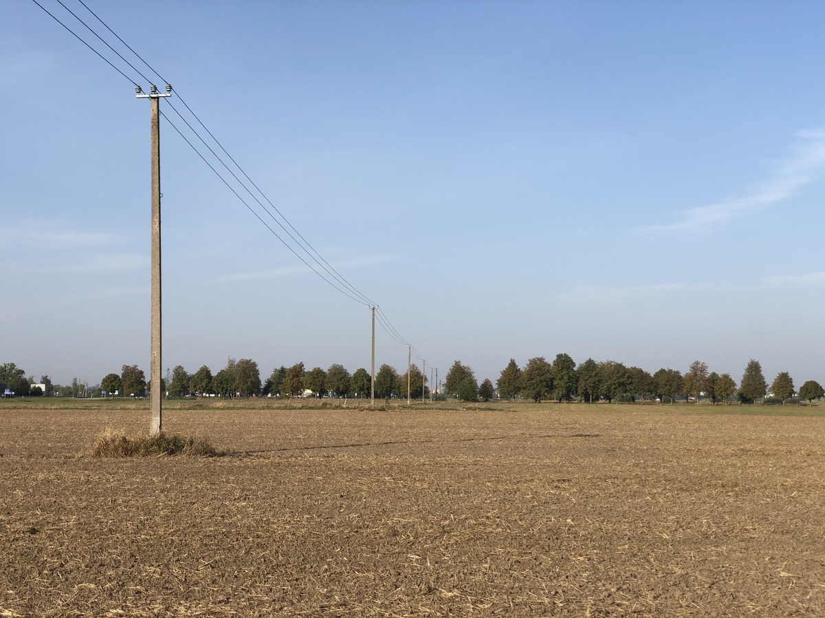 View to the West