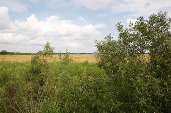 #1: View North