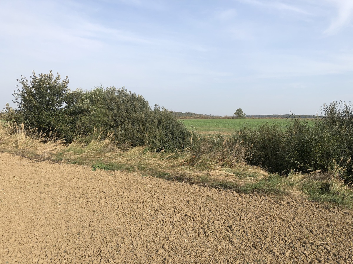 The Confluence from 15 m Distance
