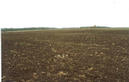 #2: Towards south.