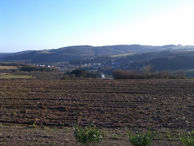 View east / Blick nach Osten