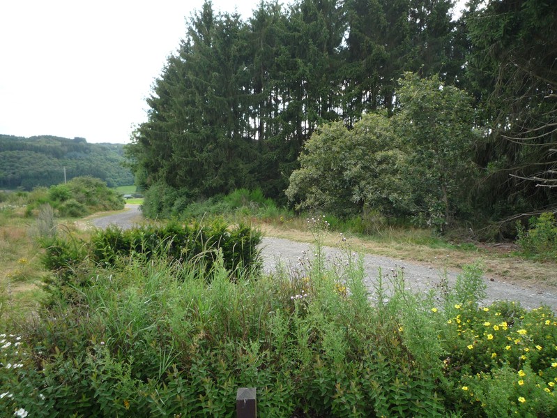 View to the West - The field track coming from Enscherange