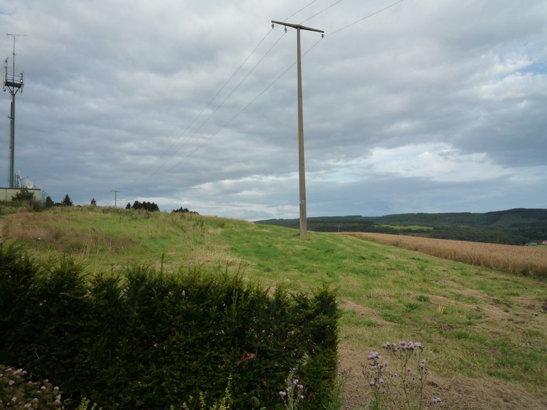 View to the East - Uphill with a Cell Phone Tower