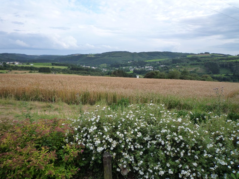 View to the South - Countryside with Villages