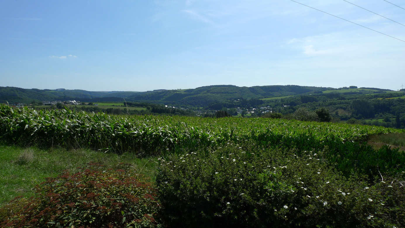 South