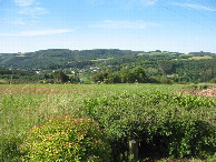 #3: Süden; view south