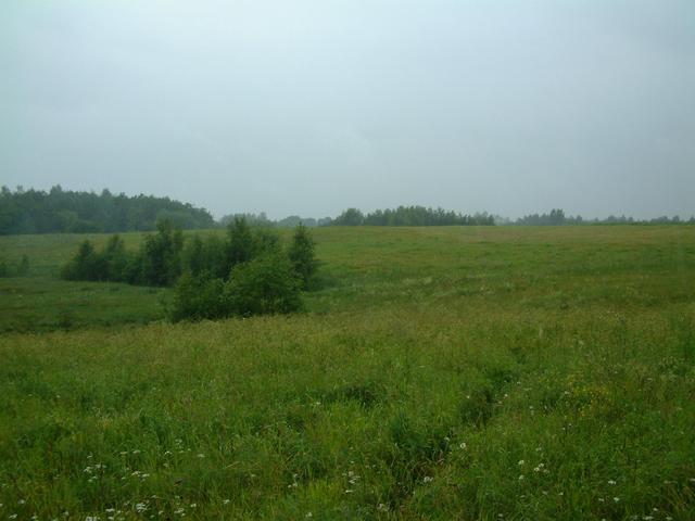 Point in the middle of grassy hill