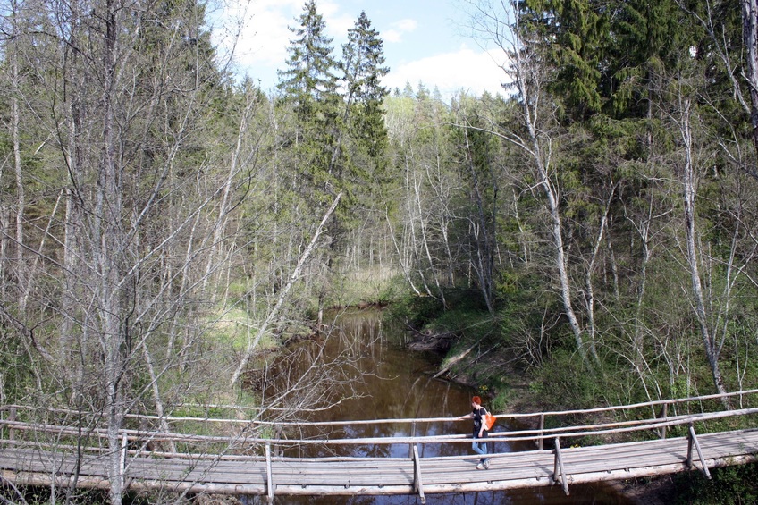 Wooden bridge / Деревянный мостик