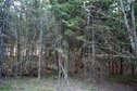 #2: View to the north / Вид на север
