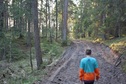 #8: The fresh prints on the road / На дороге свежие следы