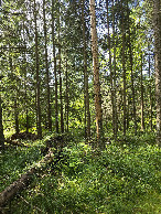 #3: View South