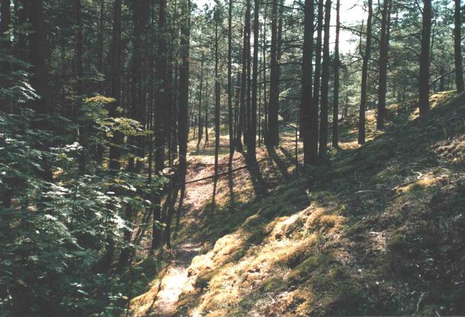 Facing East