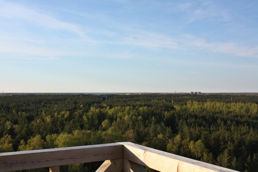 View to the Riga Bay / Вид на Рижский залив