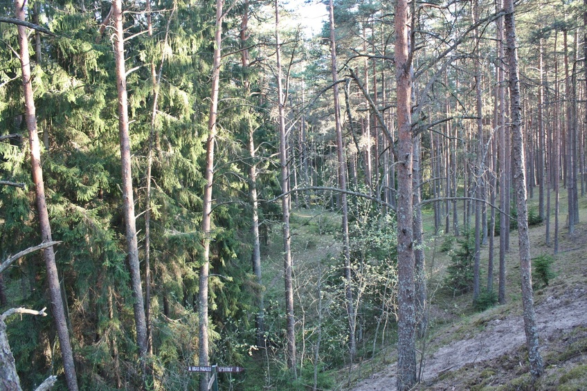 General view in south direction / Общий вид в южном направлении