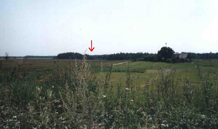 The arrow points at the confluence, which is in the woods