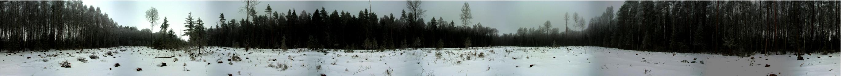 360° view from confluence point