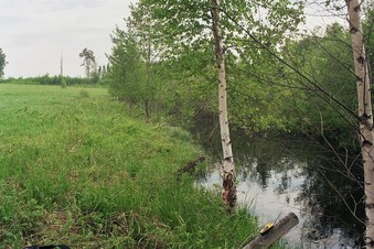 #1: near the CP, looking west