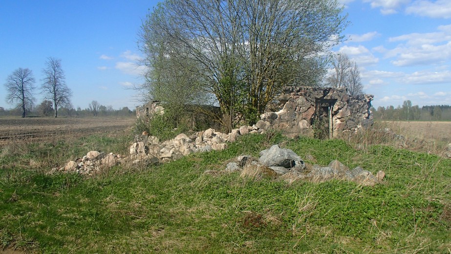 Ruins on the field edge / Руины на краю поля