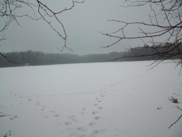 View from east shore of lake.