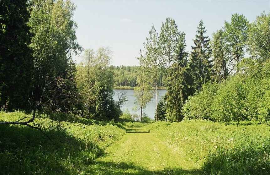 looking west to the lake and the CP, 150 m away