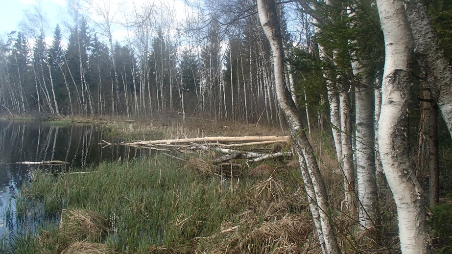 View to the north / Вид на север