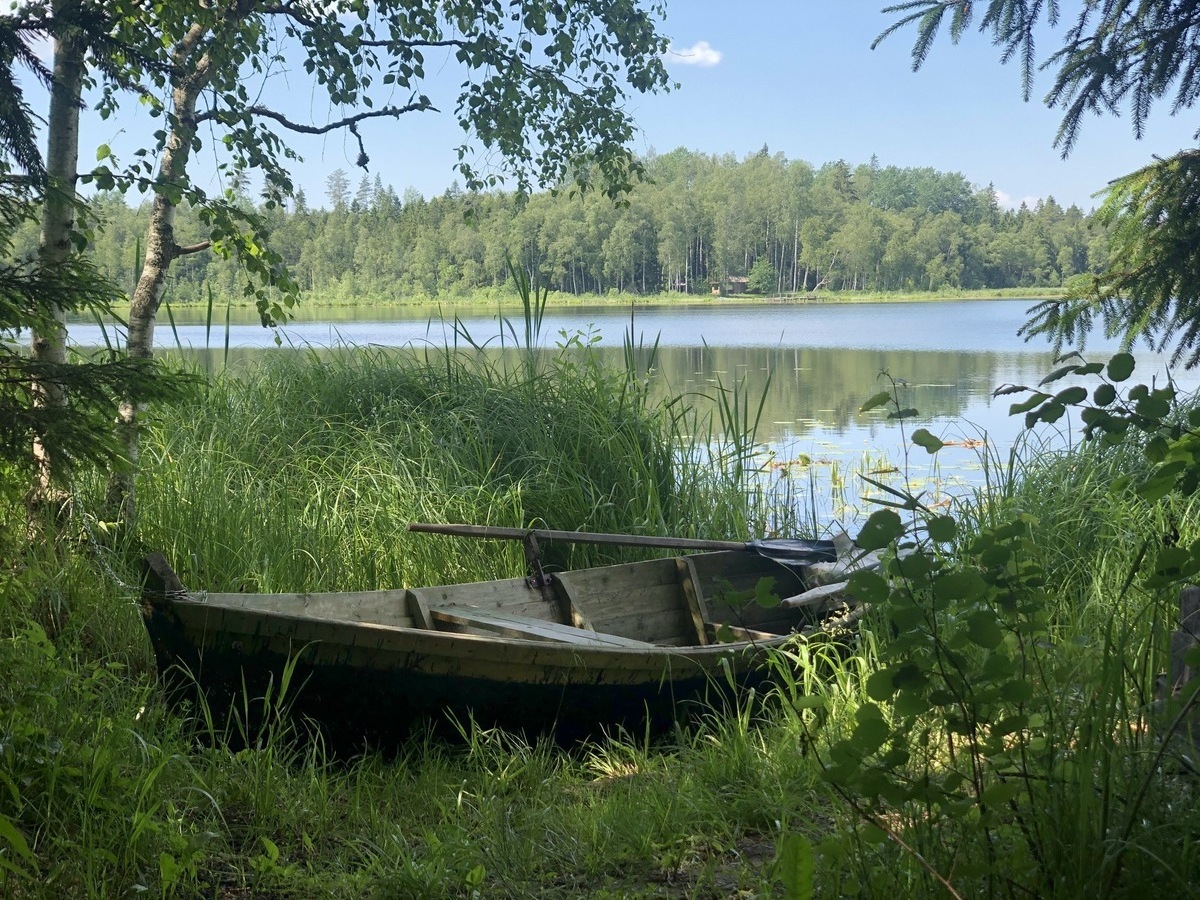 The Old Rowing Boat