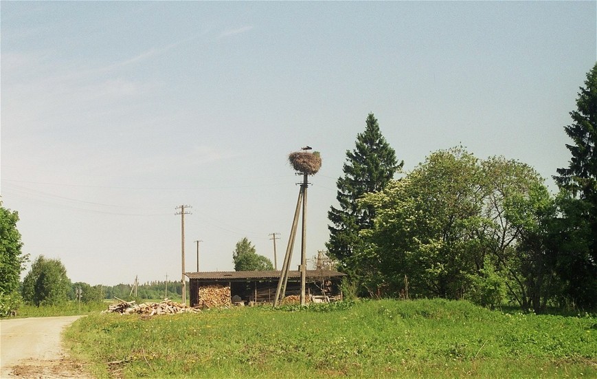 stork's nests on our way