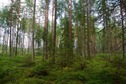 #2: View East