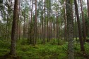 #3: View South