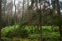 #4: View West