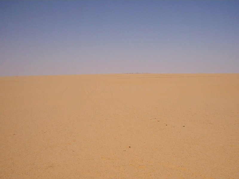 View to W