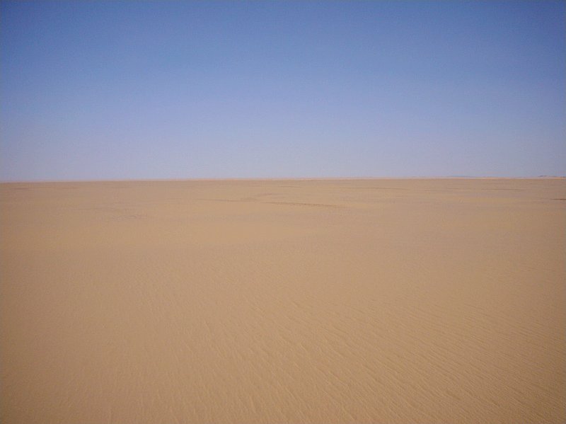 View from 100 m